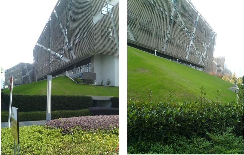 蘇州大學(xué)-國家大學(xué)科技園