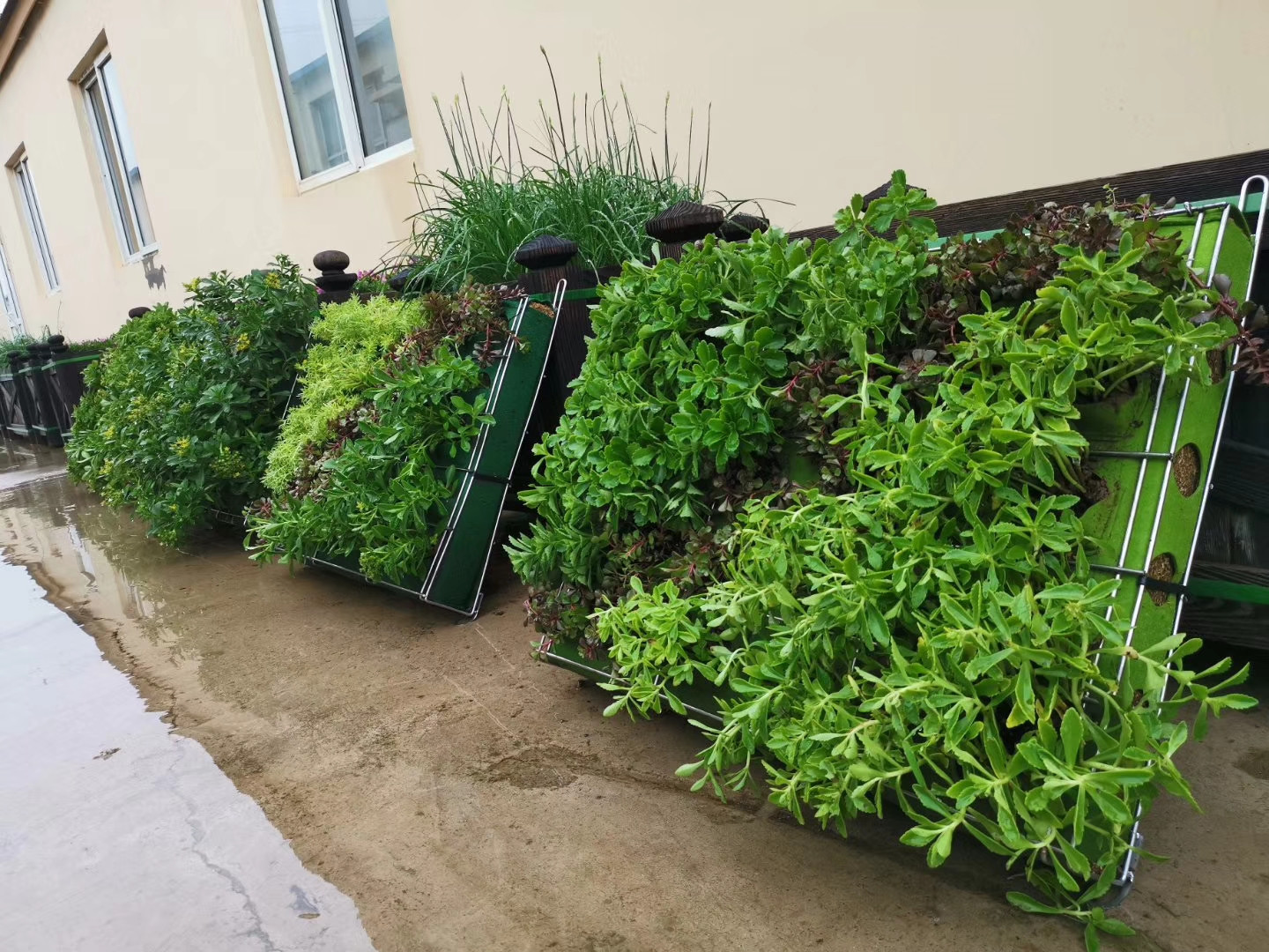 園藝綠化案例 (2)